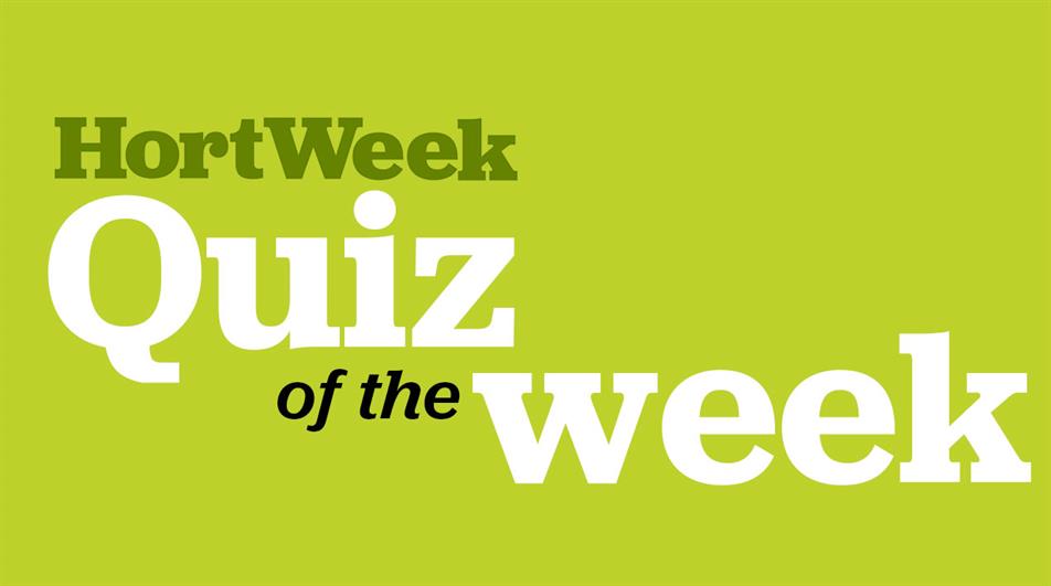 Quiz of the week